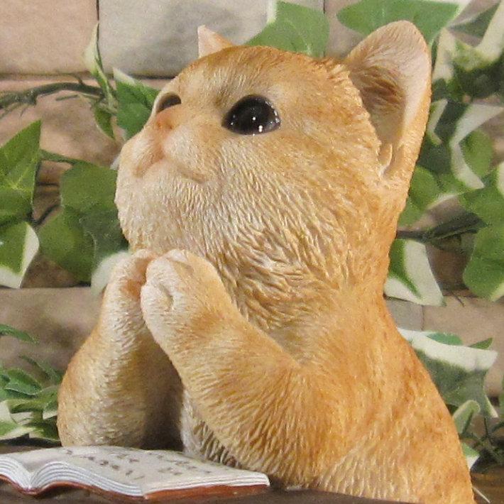 置物 動物 可愛い 猫の置物 リアル キャット 勉強中 お願い チャトラ