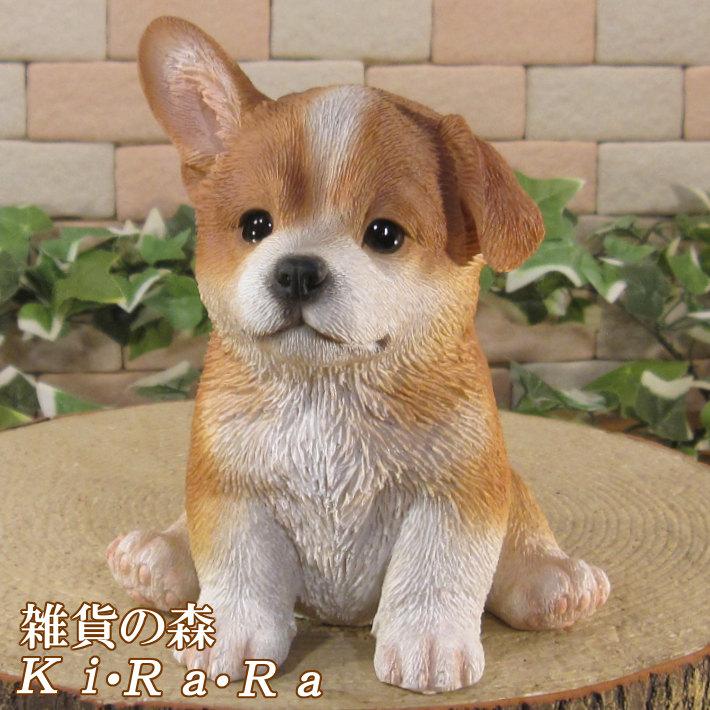 置物 動物 可愛い 犬の置物 仔ウエルシュ・コーギー お座り リアル