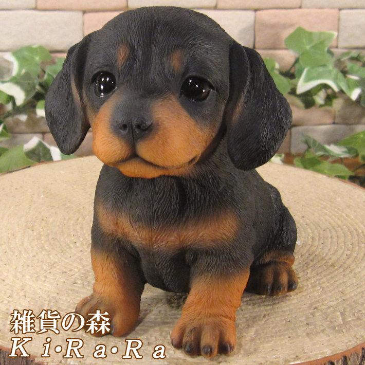置物 動物 可愛い 犬の置物 仔ダックスフント お座り ブラック リアル