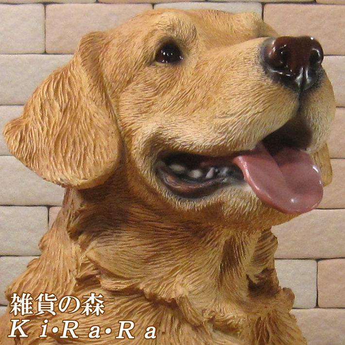 置物 動物 可愛い 犬の置物 リアル ゴールデンレトリバー 成犬