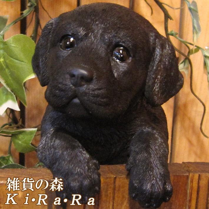 犬の置物 ラブラドールレトリバー ブラック リアルな犬の置物 ぶらさがりドッグ ラブラ クロラブ 子いぬのフィギア イヌのオブジェ ガーデニング 雑貨の森 Ki Ra Ra Yahoo 店 通販 Yahoo ショッピング