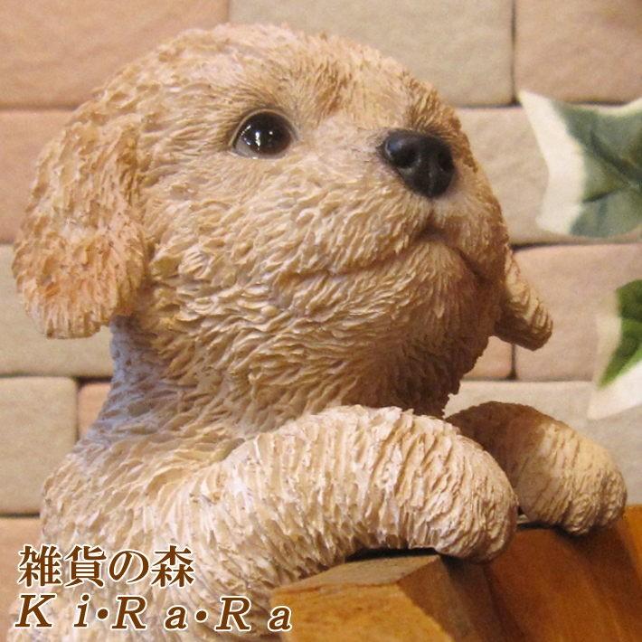 犬の置物 プードル ライトブラウン リアルな犬の置物 ぶらさがりドッグ 子いぬのフィギア イヌのオブジェ ガーデニング 玄関先 陶器 雑貨の森 Ki Ra Ra Yahoo 店 通販 Yahoo ショッピング
