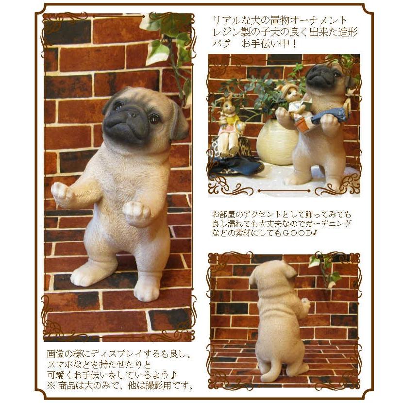 犬の置物 パグ リアルな犬の置物 お手伝い中 子いぬのフィギア イヌのオブジェ ガーデニング 玄関先 陶器 雑貨の森 Ki Ra Ra Yahoo 店 通販 Yahoo ショッピング