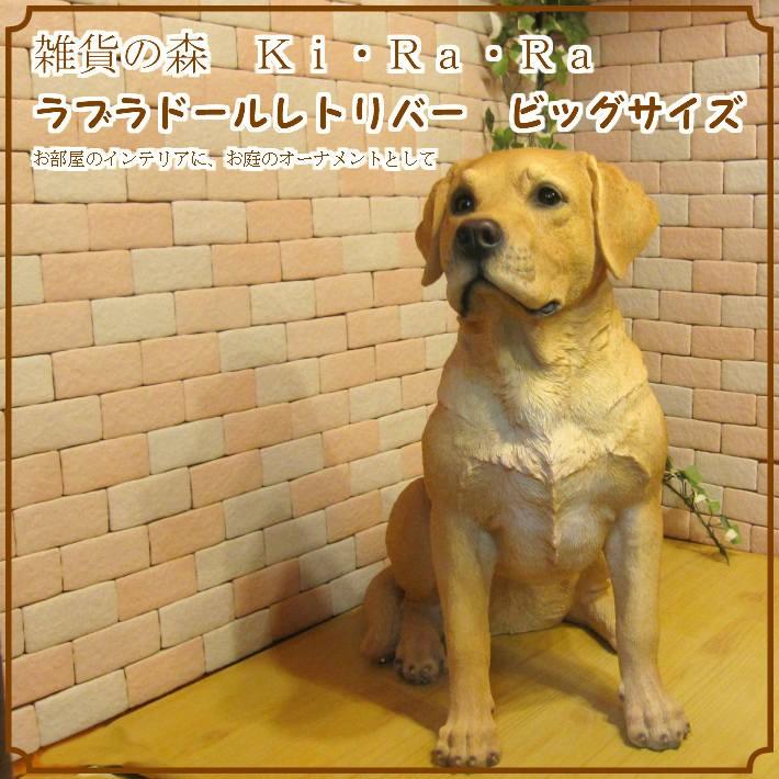 犬の置物 ラブラドールレトリバー 大きくてリアルな犬の置物 ラブラ 成犬 お座り ビッグサイズ いぬのフィギア イヌのオブジェ ガーデニング 玄関先 雑貨の森 Ki Ra Ra Yahoo 店 通販 Yahoo ショッピング