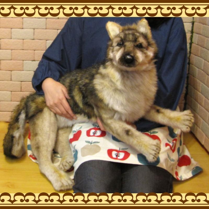 置物 動物 可愛い 狼 ぬいぐるみ リアル オオカミ ビッグサイズ