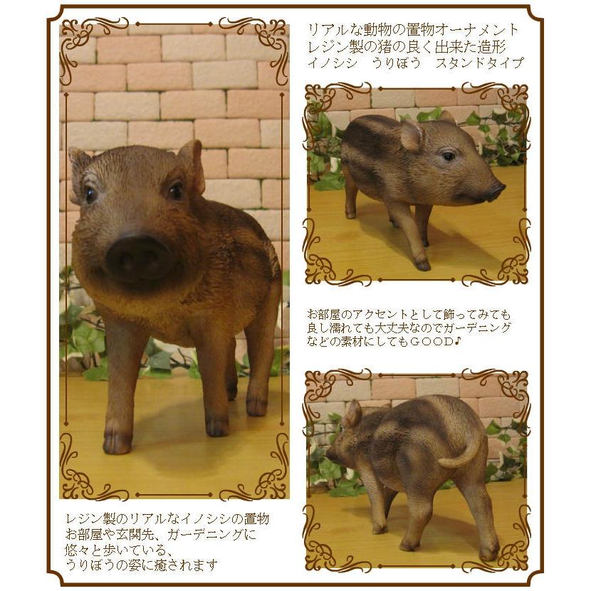 置物 動物 可愛い イノシシの置物 うりぼう スタンド 猪オブジェ レジン製 いのししフィギュア 縁起物 干支 インテリア ガーデニング素材 223 雑貨の森 Ki Ra Ra Yahoo 店 通販 Yahoo ショッピング