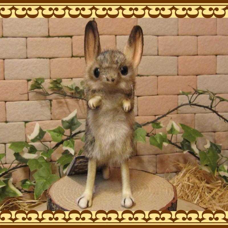 置物 動物 可愛い ねずみ ぬいぐるみ リアル トビネズミ 置物 動物 可愛い ねずみ ぬいぐるみ リアル トビネズミ