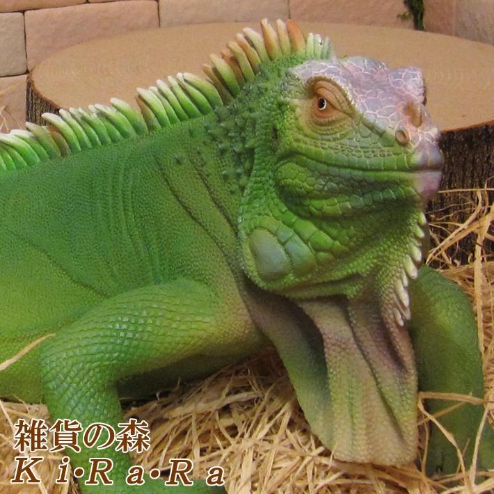 トカゲの置物 リアルな イグアナ ｂタイプ ビッグサイズ 爬虫類 オブジェ フィギュア ガーデニング オーナメント レジン 雑貨の森 Ki Ra Ra Yahoo 店 通販 Yahoo ショッピング