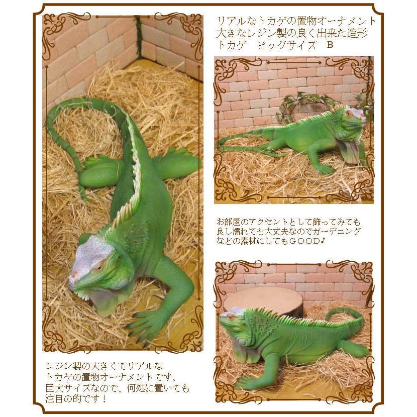 最先端 トカゲの置物 リアルな イグアナ ｂタイプ ビッグサイズ 爬虫類 オブジェ フィギュア ガーデニング オーナメント レジン 限定製作 Nicmosul Org