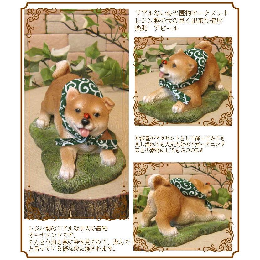 【まとめ売り】犬のフィギュア 37匹 置物　コレクション　犬　動物　レトロ Amazon.co.jp: TOYMANY 12PCSミニ犬フィギュア ミニ動物
