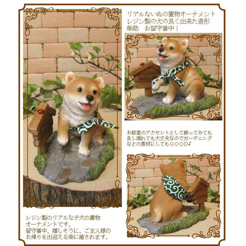 取引中☆アニマルオブジェ 柴犬a リアルな置物☆ 置物 動物 可愛い 犬の置物 柴犬 リアル 柴助 お留守番中！ 子いぬの
