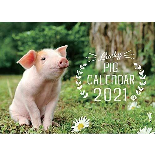 Lucky Pig カレンダー カレンダー21 卓上 カレンダー 誠実 Www 10cartorio 10tabnotas Com Br