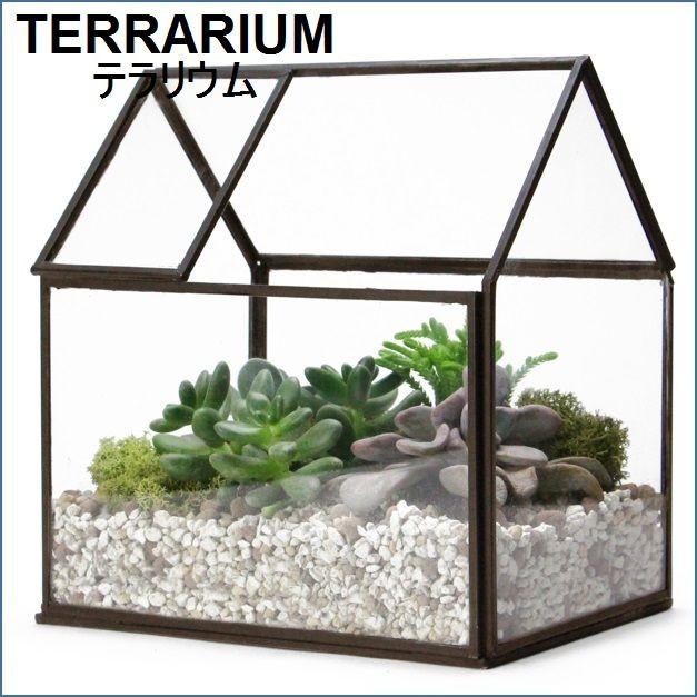 テラリウム ガラスケース 家型 ハウス 容器 21cm House Terrarium “Open roof” :3041O:雑貨mag