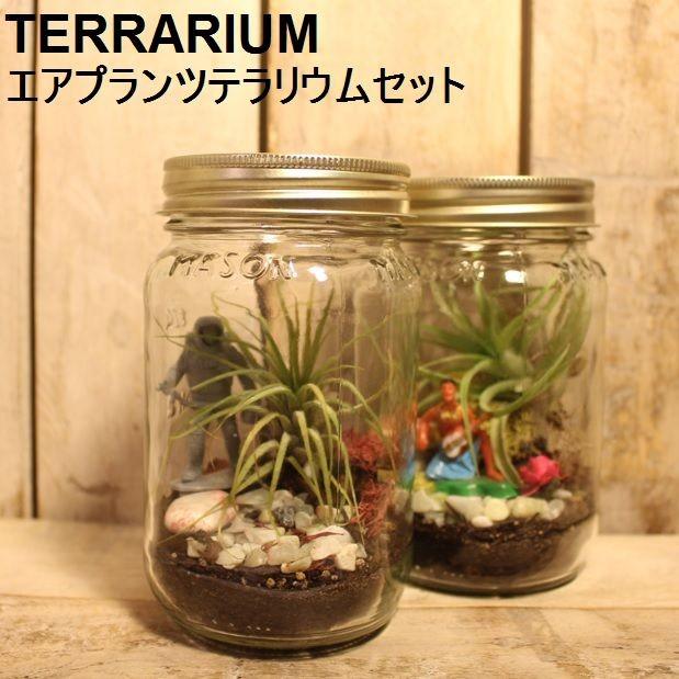 テラリウム ギフト キット 容器 材料 フィギュア エアプランツ エアープランツ Make Your Own Terrarium Kit Terra 01 雑貨mag Yahoo ショップ 通販 Yahoo ショッピング