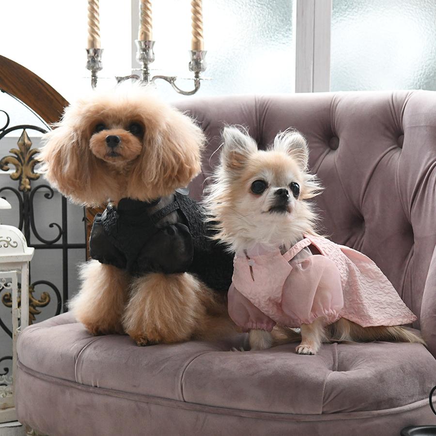 ANNA SUI（アナスイ） 犬 服 犬服 ペット服 ドッグウェア 犬の服