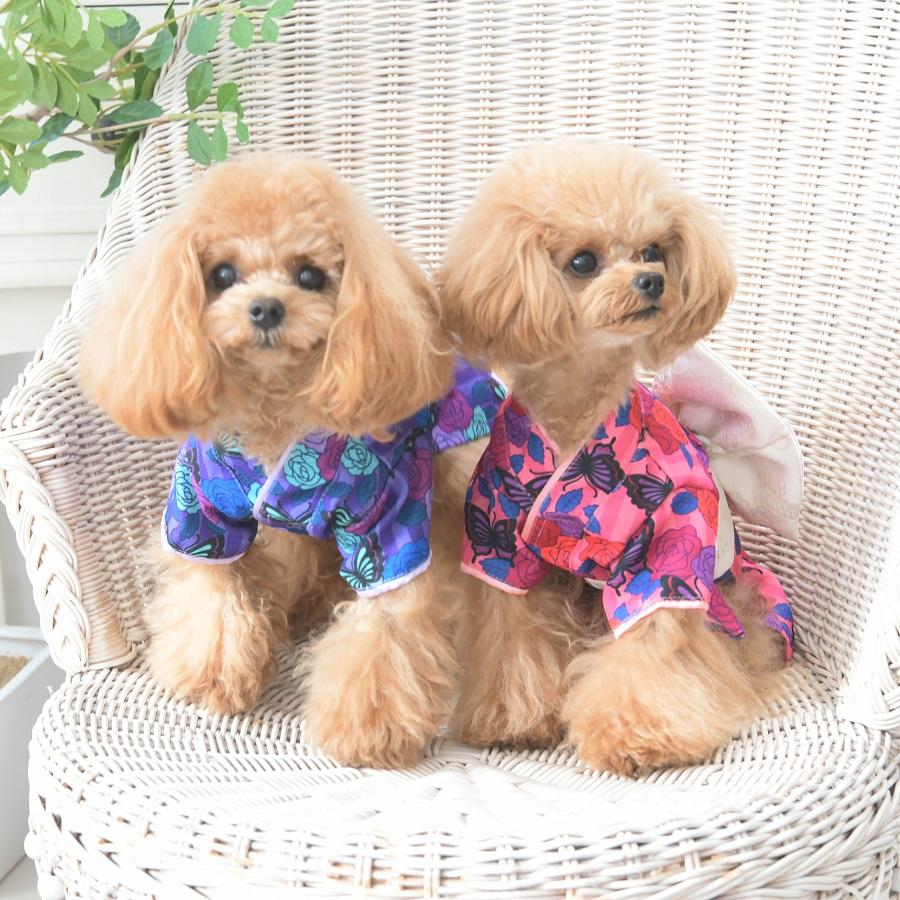 ANNA SUI（アナスイ） 2024年新作 アナ スイ バタフライ柄 振袖 | 着物