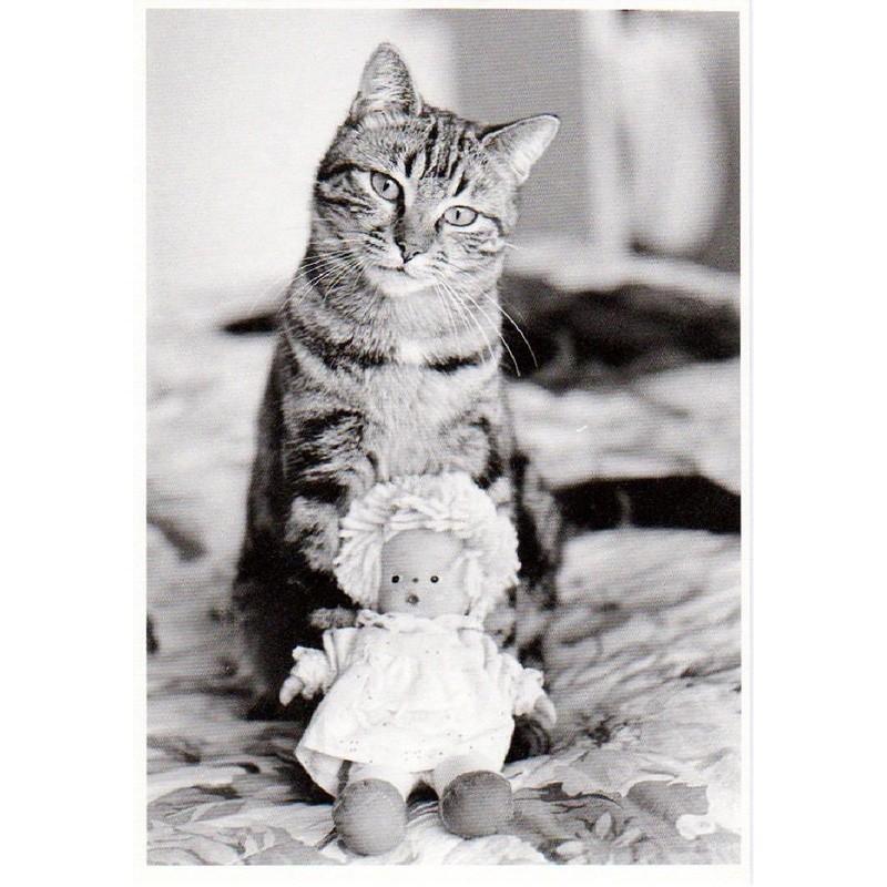 Art Unlimited ネコのポストカード 猫 人形 グリーティングカード B1417 雑貨ロビン ヤフー店 通販 Yahoo ショッピング