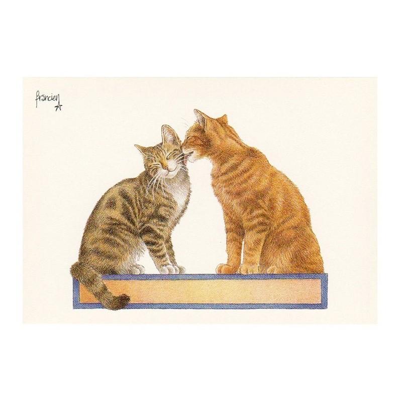 Art Unlimited ネコのポストカード 仲良しトラ猫 グリーティングカード C6102 雑貨ロビン ヤフー店 通販 Yahoo ショッピング