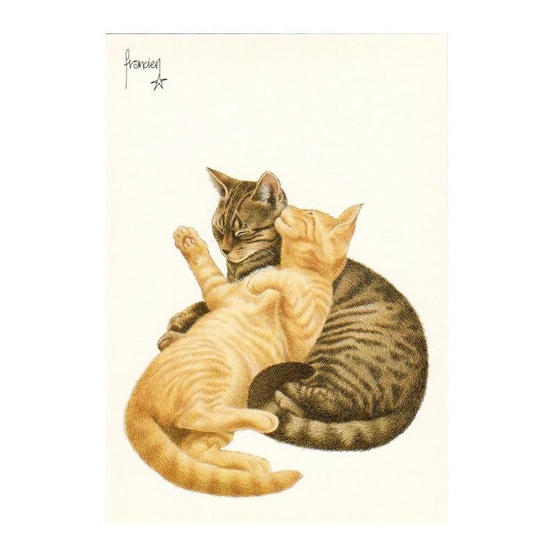 Art Unlimited ネコのポストカード じゃれるトラ猫 グリーティングカード C6161 雑貨ロビン ヤフー店 通販 Yahoo ショッピング