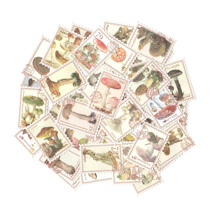 箱入り シール セット スクラップ素材 切手 きのこ 和紙素材 Hgdxycr001 雑貨ロビン ヤフー店 通販 Yahoo ショッピング