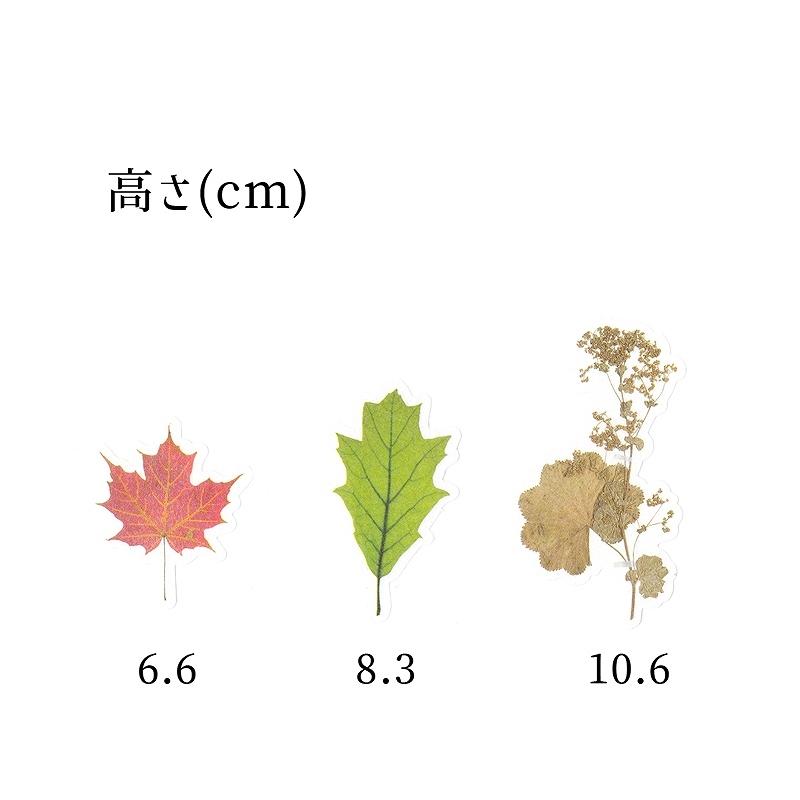 フレークシール セット スクラップ素材 (落ち葉×ドライフラワー) 和紙素材｜zakkarobin｜02