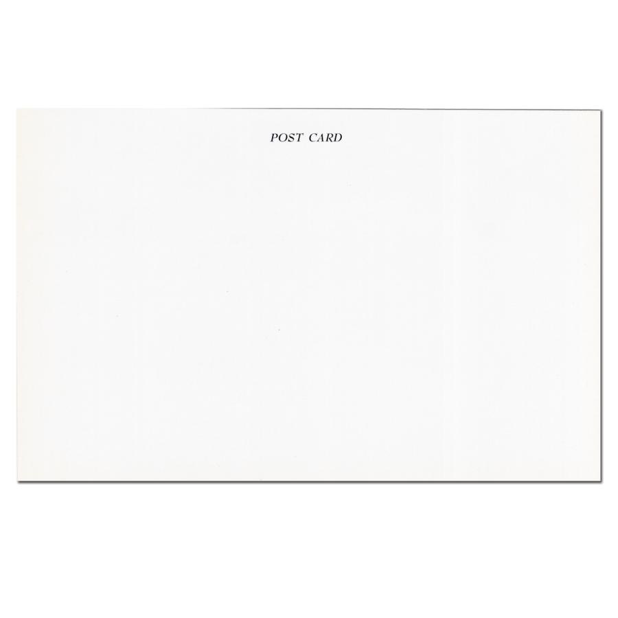 春の訪れを告げる木瓜 ポストカード |  | 01