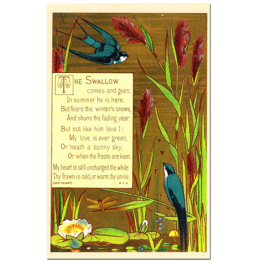 THE SWALLOW ポストカード | 