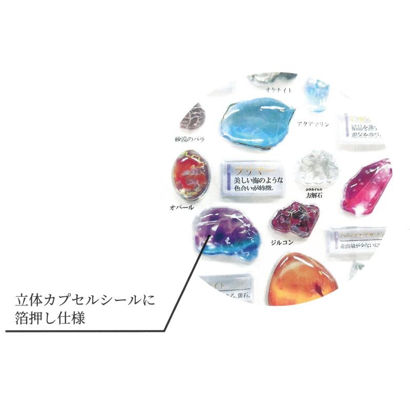 カミオジャパン 大人の図鑑シール 20種セット カミオジャパン 3D大人の図鑑シール ビジュアルコレクション KAMIO