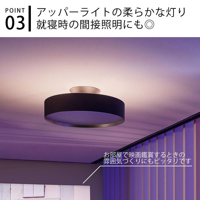 ARTWORKSTUDIO 照明器具 シーリング ART WORK STUDIO アート ARTWORKSTUDIO 照明器具 シーリング ART WORK STUDIO アート