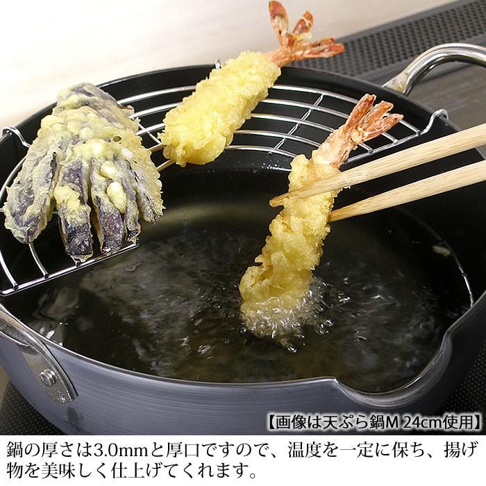 RIVER LIGHT（リバーライト） 鉄 天ぷら鍋 極 JAPAN 天ぷら鍋S 20cm IH