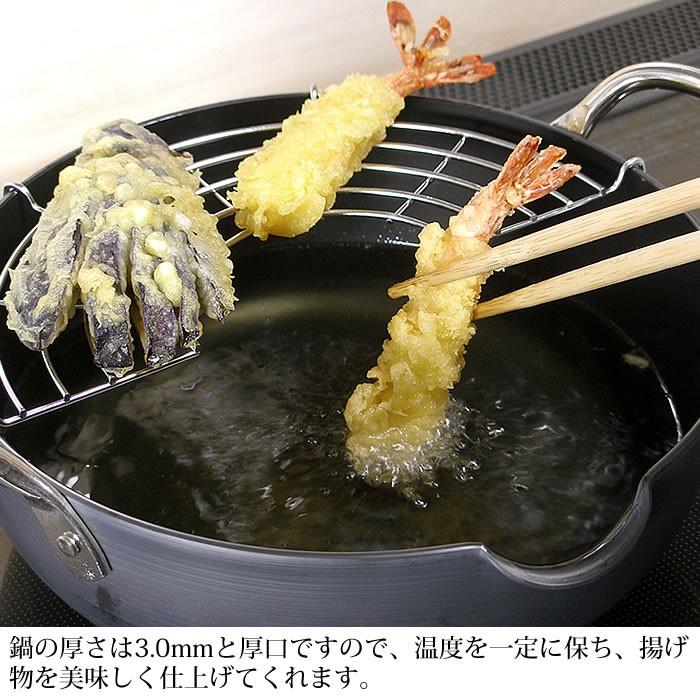 RIVER LIGHT（リバーライト） 鉄 天ぷら鍋 極 JAPAN 天ぷら鍋M 24cm IH