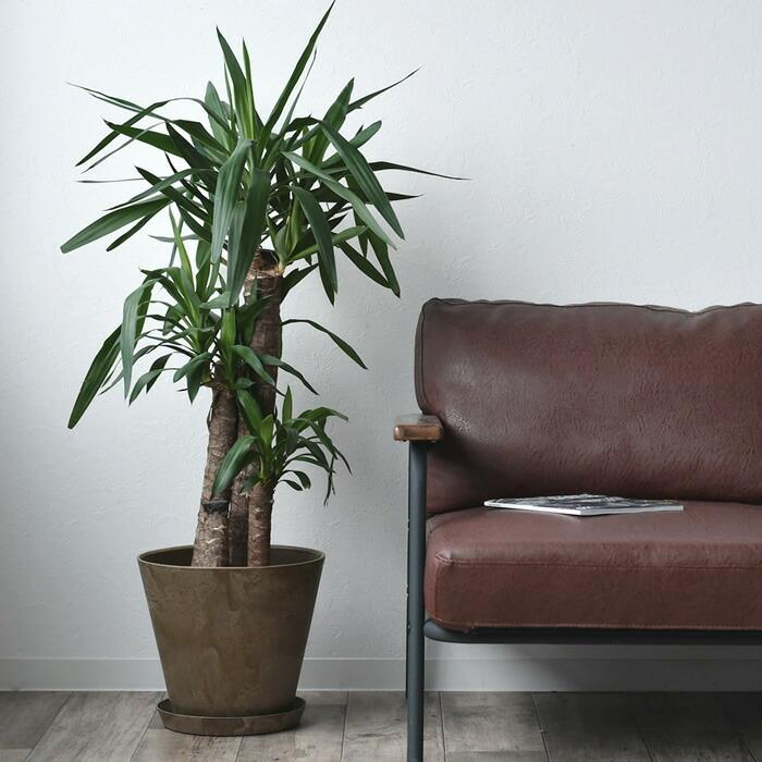 植木鉢 amabro アートストーン Lサイズ ART STONE プランター 10号 11号 鉢植え おしゃれ 観葉植物 鉢 大型 軽量 鉢カバー 屋内 屋外 アマブロ プラスチック :716716-41812:雑貨ショップドットコム - 通販 - Yahoo!ショッピング 植木鉢 amabro アートストーン Lサイズ ART STONE プランター 10号 11号 鉢植え おしゃれ 観葉植物 鉢 大型 軽量 鉢カバー 屋内 屋外 アマブロ プラスチック :716716-41812:雑貨ショップドットコム - 通販 - Yahoo!ショッピング
