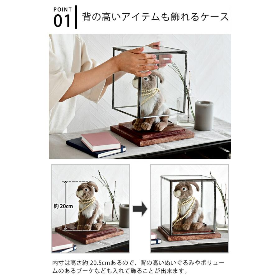 DETAIL（ディテール） ディスプレイ ケース キャビネット ウィズウッド
