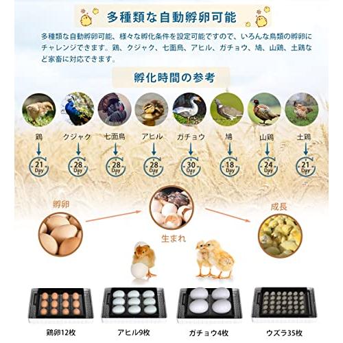 全てのSOHAPI インキュベーター 自動孵卵器 大容量 孵化器 自動転卵