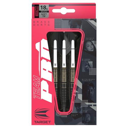 Mikuru Suzuki ダーツセット TEAM PRO シリーズ MIKURU SUZUKI BRASS 18G 2BA ブラスダーツセット