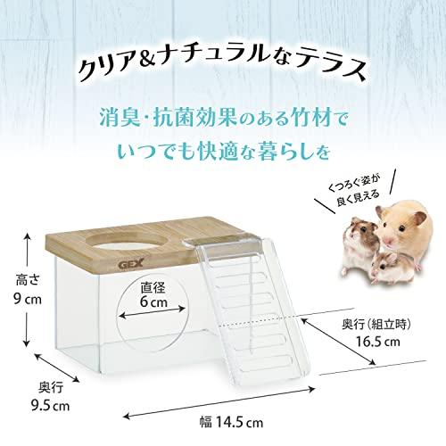 ジェックス GEX ハーモニークリアテラス 中の様子がよく見える 2階建て