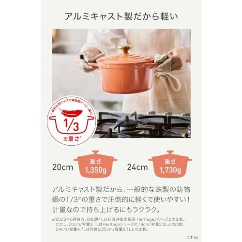 ティファール ココット鍋 24cm 両手鍋 無水調理 鋳物なのに軽くて使い