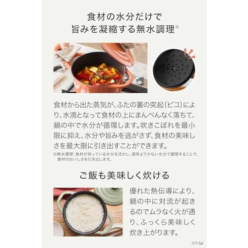ティファール ココット鍋 24cm 両手鍋 無水調理 鋳物なのに軽くて使い