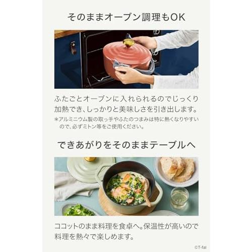 ティファール ココット鍋 24cm 両手鍋 無水調理 鋳物なのに軽くて使い