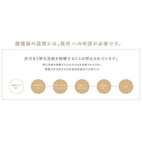 栄ヒルズ ブラックBOX A type No.102 NZ-2の画像