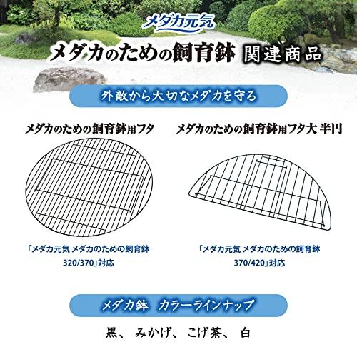 ジェックス GEX メダカ元気 メダカのための飼育鉢 黒 420 約外径42×高