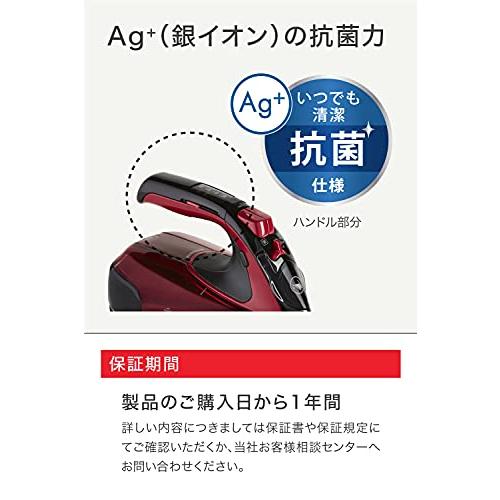 ティファール パワフルスチーム 最大80g/分 軽量 コンパクト