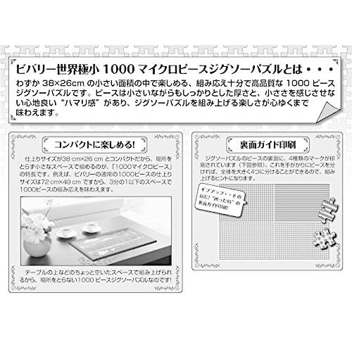 日本製 1000ピースジグソーパズル Where's Wally？海賊船パニック