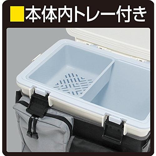 JEJアステージ クーラーボックス デンバーサーフ #12 W約37.6×D約26×H