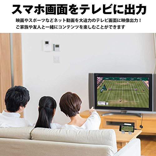 Hy+ Type-C to HDMI 変換アダプター HY-TCHD8 4K映像対応(Xperia5ii Xperia1ii AQUOS R5G |  | 03