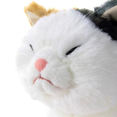 【ぬいぐるみ】【送料無料】Cuddly　(カドリー） マリア りらっくす 【smtb-TD】【tohoku】_3
