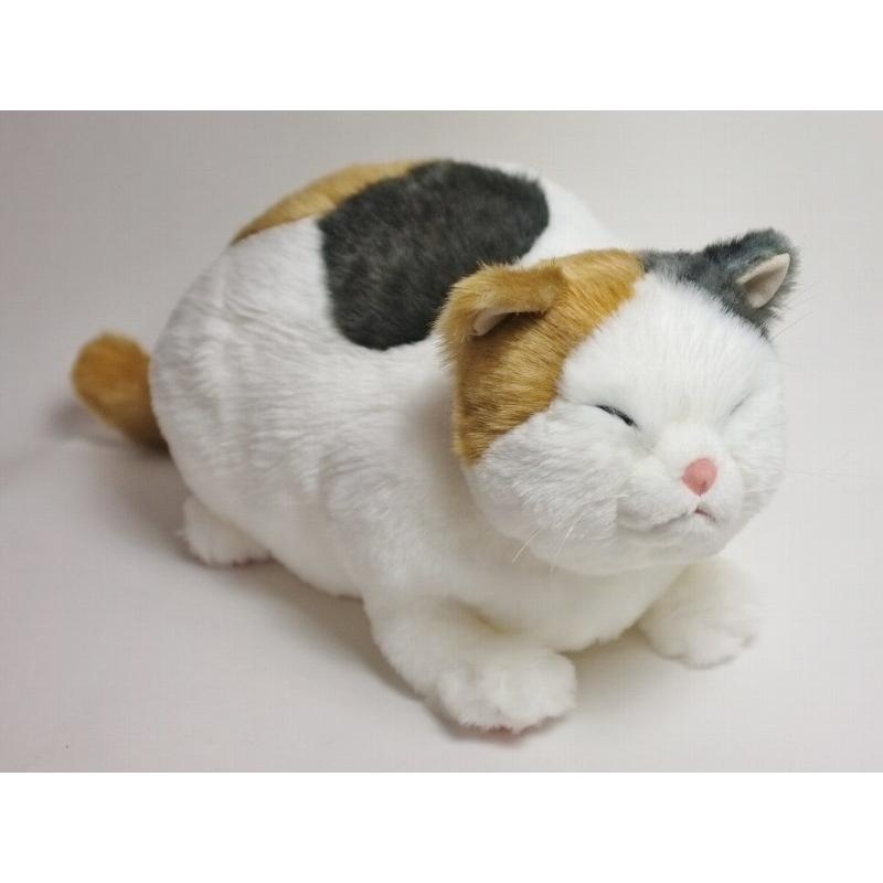 【ぬいぐるみ】【送料無料】Cuddly　(カドリー） マリア りらっくす 【smtb-TD】【tohoku】_5