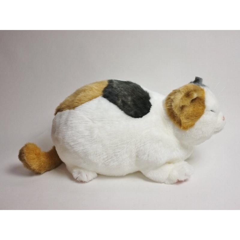 【ぬいぐるみ】【送料無料】Cuddly　(カドリー） マリア りらっくす 【smtb-TD】【tohoku】_6