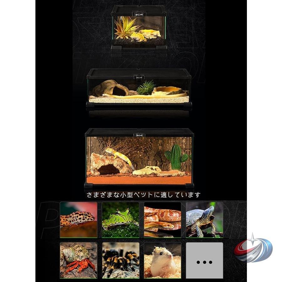 爬虫類ケージ 透明飼育ケース レプタイルボックス ピークル 脱出防止 トカゲ/クモ/カエル対応 観察しやすい 通気設計で飼育が安心_6