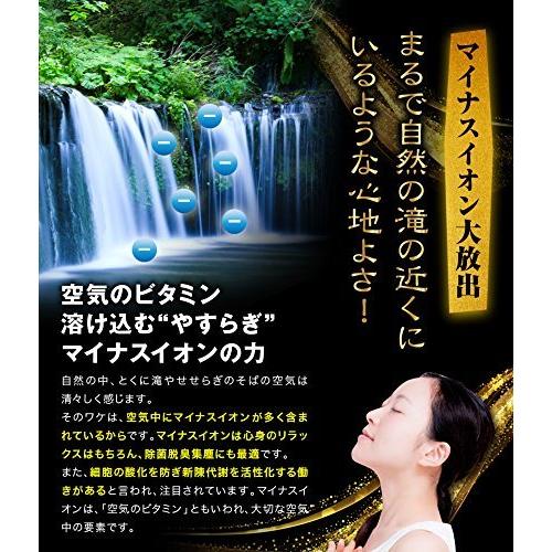 滝風（たき）イオンメディック TAKI ION MEDIC パールホワイト